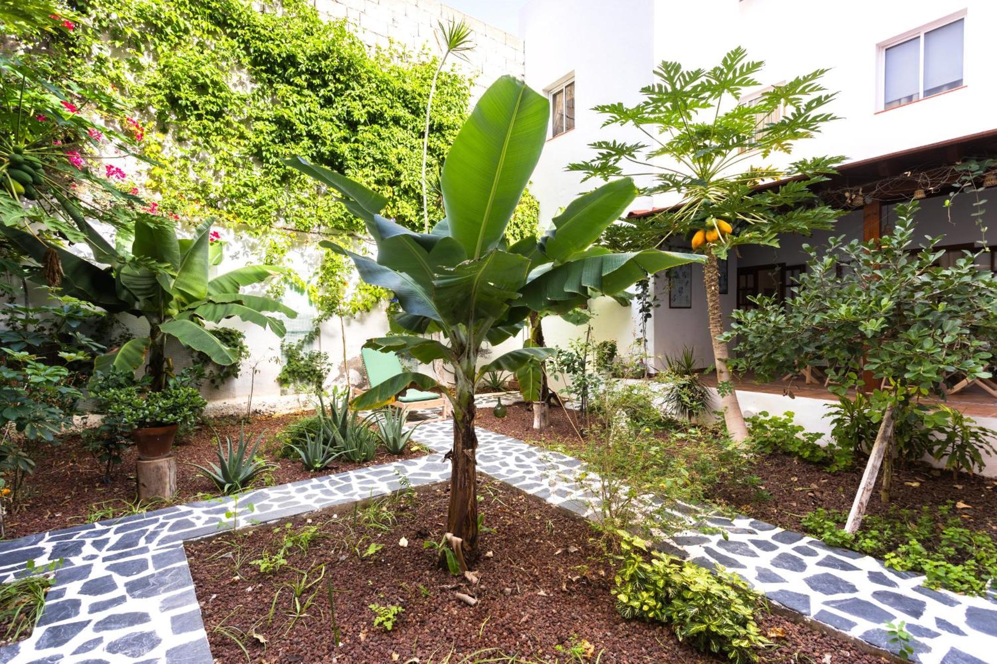 Garachico Center Secret Garden Vila Exterior foto